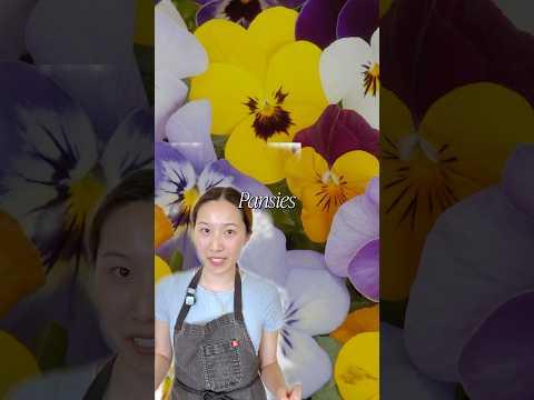 Baking with Floral Decorations: Elevate Desserts with Edible Blooms