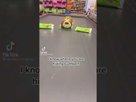 Colin the Caterpillar Cake: Symbol of Office Camaraderie